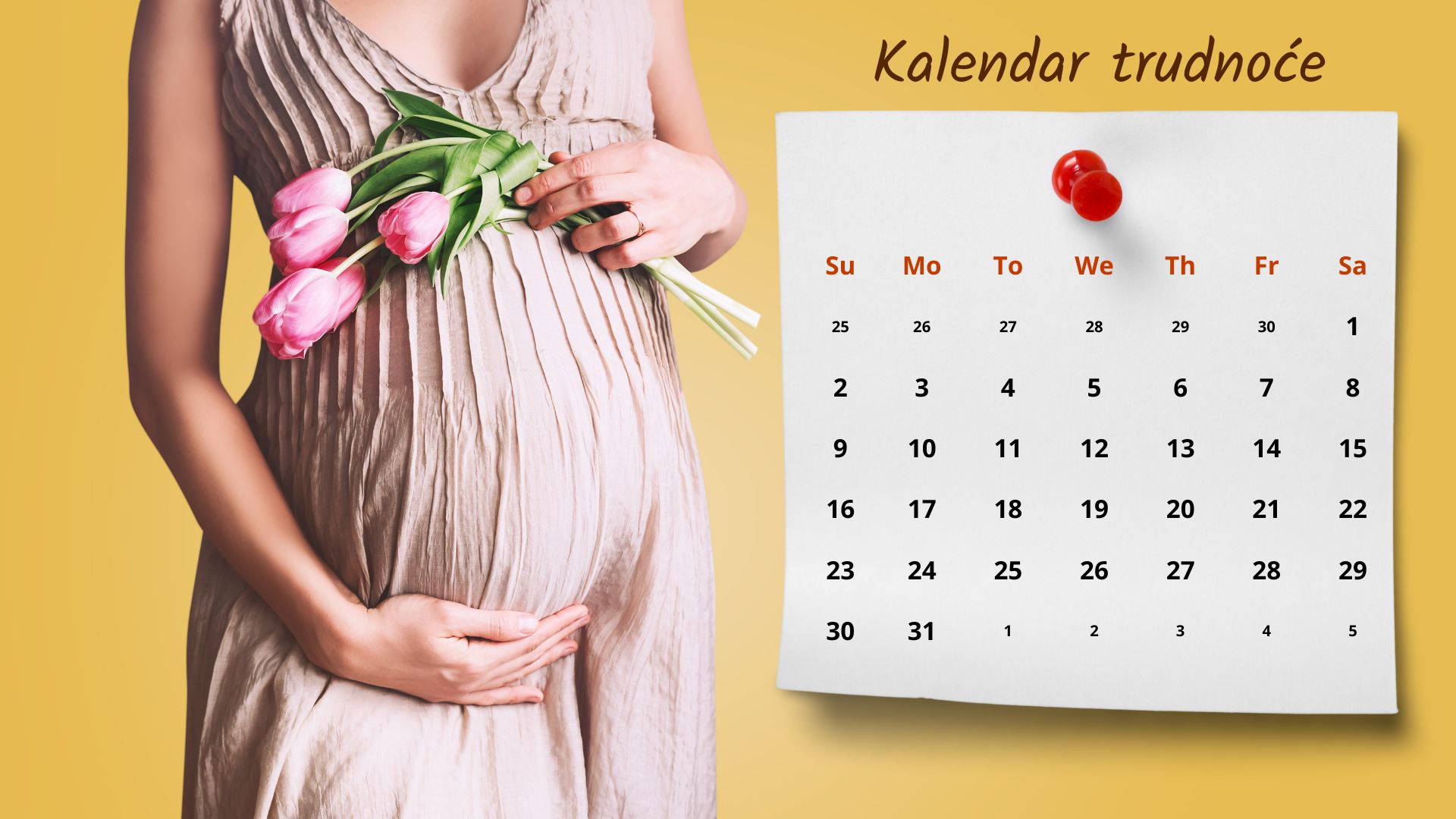 Trudnoca po nedeljama i kalendar trudnoce